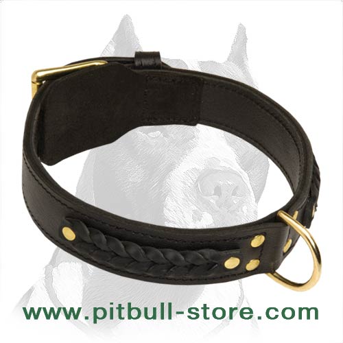 Gorgeous Braided Leather Collar with brass hardware