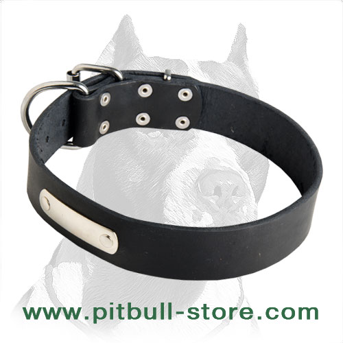 Pitbull Leather Collar with Stainless Steel Name Plate - Click Image to Close