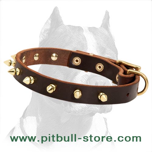 Leather Dog Collar with Brass-Plated Buckle and Spikes - Click Image to Close
