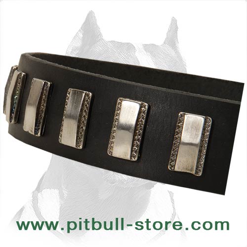 Sturdy Dog Collar with nickel plates made for Pitbull