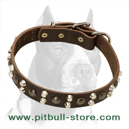 Designer 3 Rows Leather Dog Collar with Pyramids and Studs