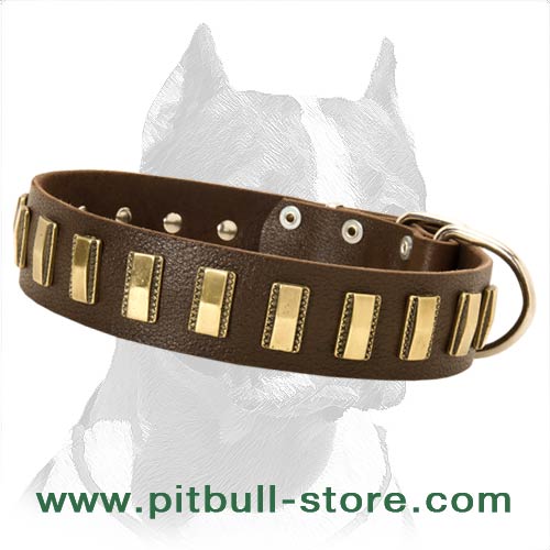 Handcrafted Leather Dog Collar For Pitbulls
