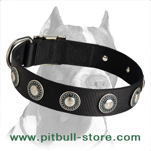 Nylon Dog Collar with Vintage Silver Conchos for Pitbull
