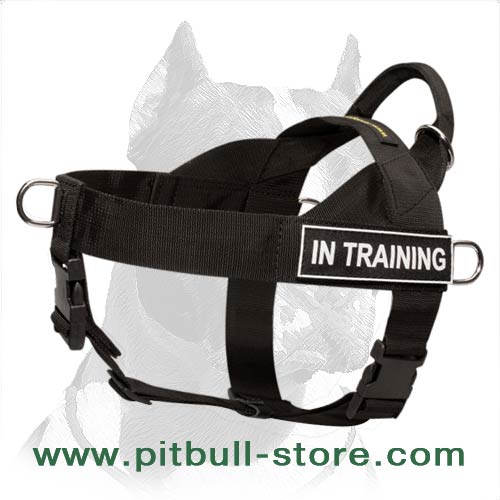 Nylon Search and Rescue Dog Harness with Handle for Pitbull