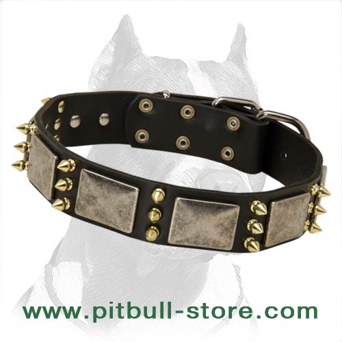 Handcrafted Leather Dog Collar decorated with Spikes and Plates - Click Image to Close