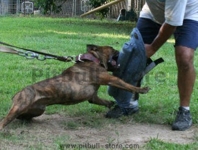 Best Leg Bite Sleeve - Training Leg Sleeve With Bite Bar