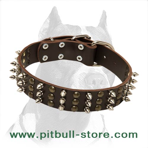 Best Studs and Spikes Leather Dog 【Collar】 for Pitbull : Pitbull