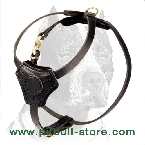 Small Leather Dog Harness for Pitbull puppy