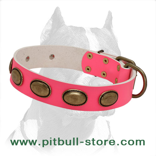 cool dog collars female