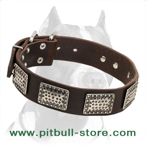 Luxury Leather Dog Collar for Pitbull