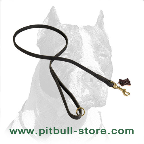 Handmade Leather Pitbull Dog Leash for Walking and Training