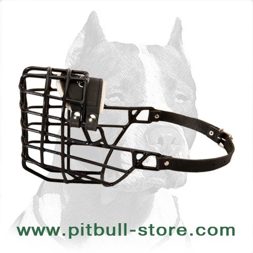 Pitbull Wire Basket Muzzle for Winter Walking