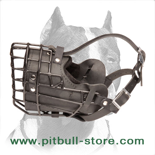 Revolutionary Fully Padded Wire Cage Pitbull Muzzle for Winter Walking