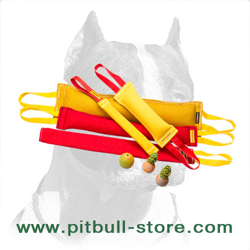 pitbull training toys