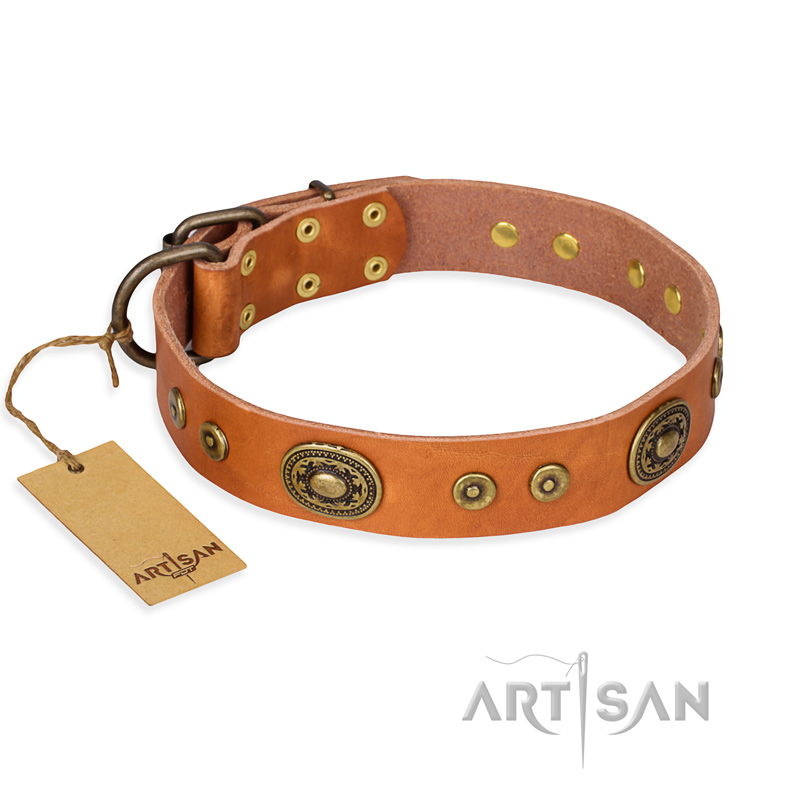 'Dandy Pet' FDT Artisan Decorated Tan Leather Pitbull Collar