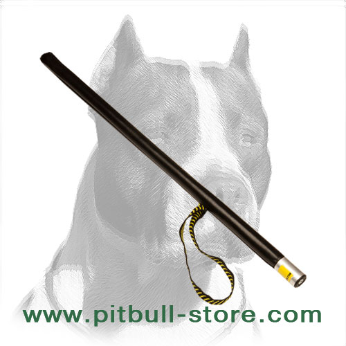 'More Motivation' Pitbull Dog Training Stick