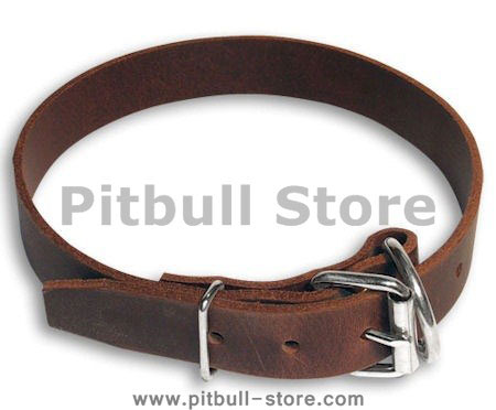 Premium 1 inch Wide Latigo Collar for Pitbull - Click Image to Close