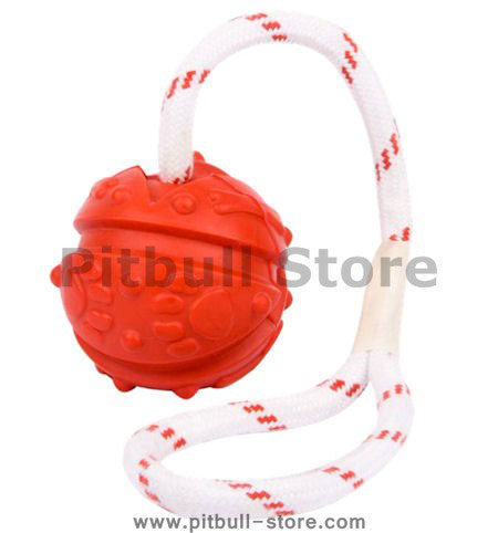 Similar to Everlasting Fun Ball on a Rope for Pitbull