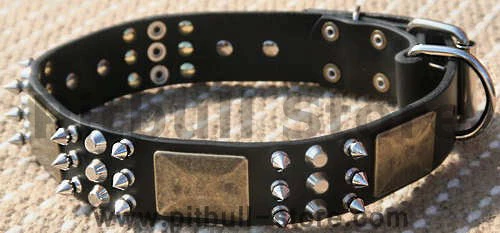 Gorgeous War Dog Leather Dog Collar-brass massive plates&spike