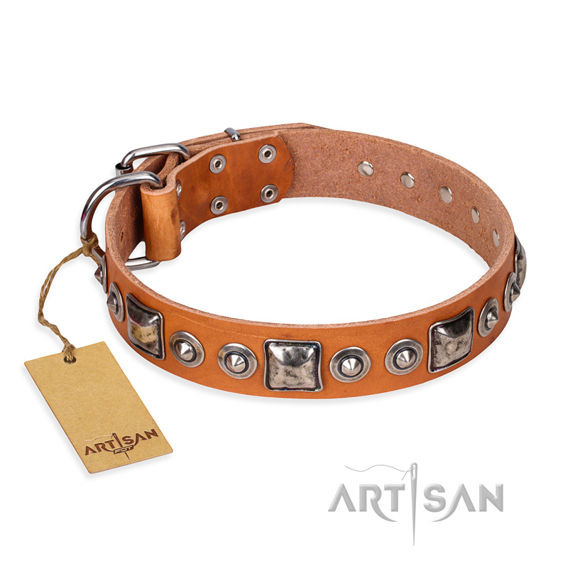 'Era of Future' FDT Artisan Handcrafted Tan Leather Pitbull Dog Collar with Decorations