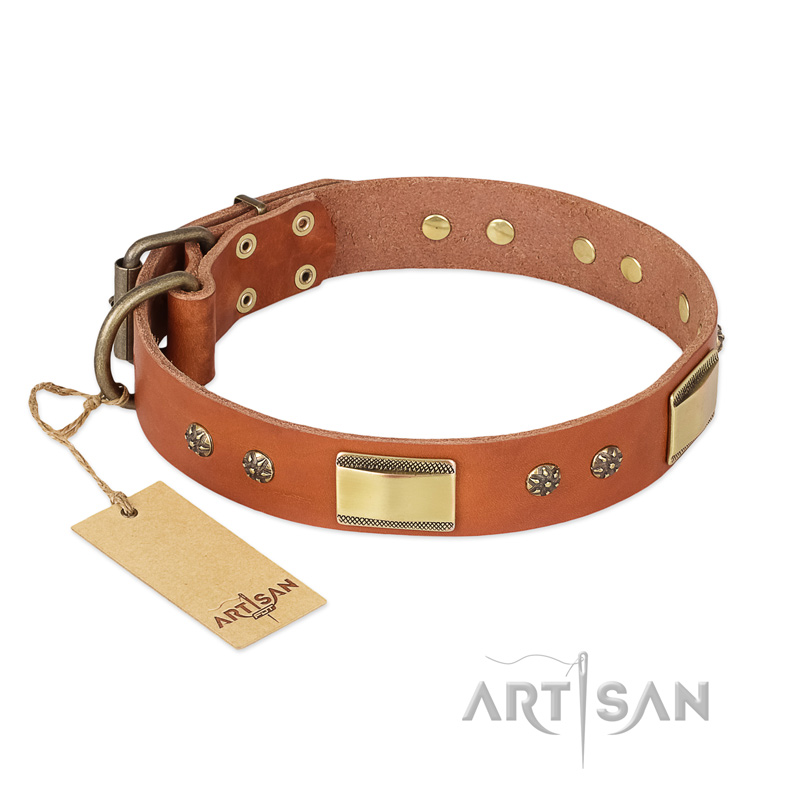 'Enchanting Spectacle' FDT Artisan Pitbull Tan Leather Dog Collar with Golden-Like Studs - 1 1/2 inch (40 mm) wide