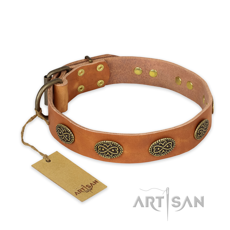 'Magic Amulet' FDT Artisan Tan Leather Pitbull Collar with Oval Studs