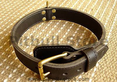 Two ply leather agitation dog collar- no handle-C33NH