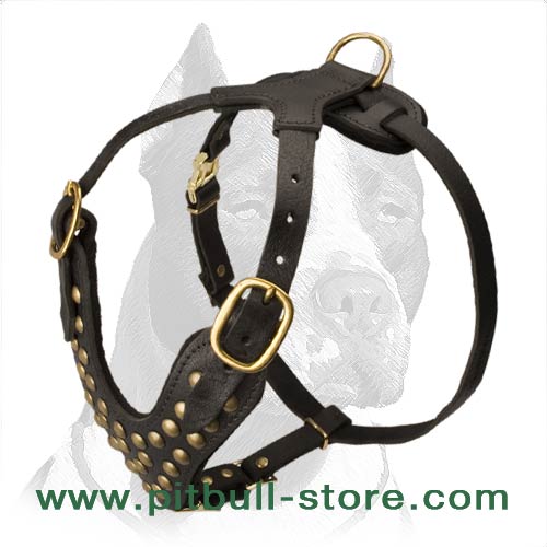 Studded Walking dog harness for Pitbull - Custom Dog Harness