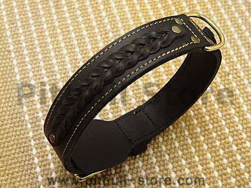 2 ply leather dog collar for pitbull