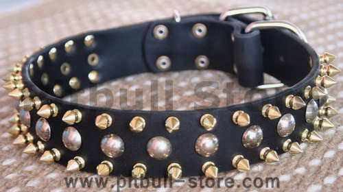 Three Rows with brass Leather Spikes and Studded Dog Collar