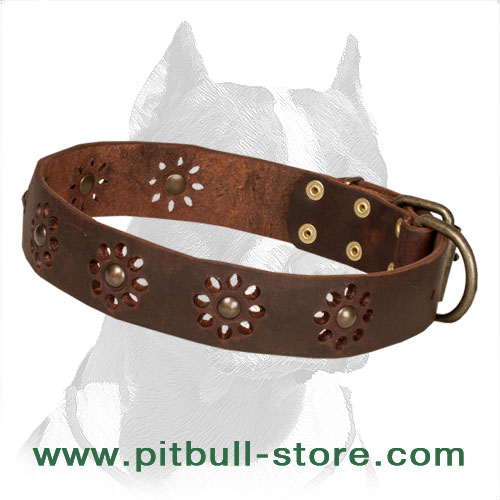 'Spring Mood' Pitbull Dog Collar with Punched Flowers