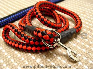 dog leash for walking