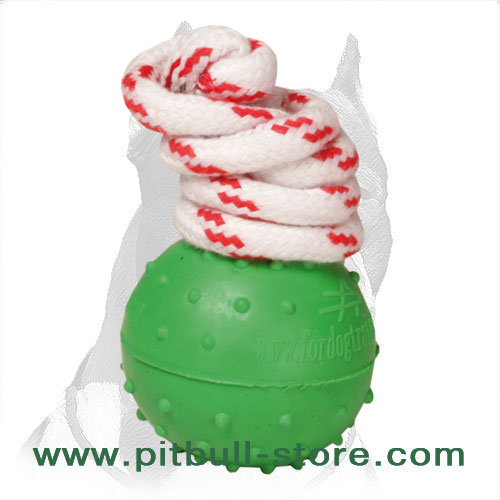 'Joy & Train' Pitbull Dog Solid Rubber Ball - Click Image to Close
