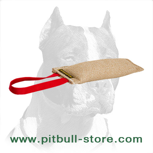 Pitbull Elementary Training Jute Bite Tug