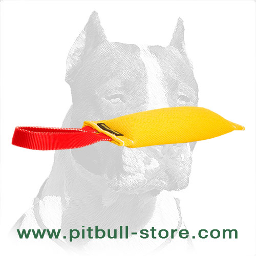 Efficient Training Pitbull Dog Bite Tug