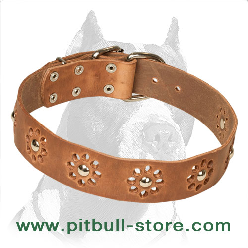 'Elegant Flower' Pitbull Leather Dog Collar