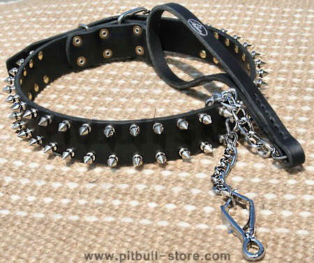Spiked Dog Collar -S33+Exclusive HS nickel plated leash -L100HS