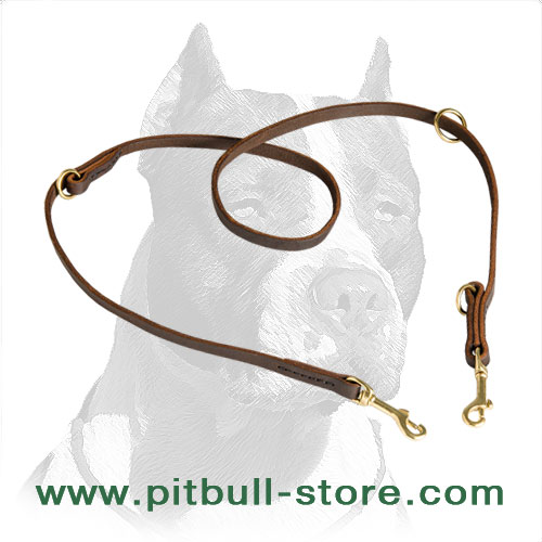 Leather and Extra Strong Pitbull Dog Leash
