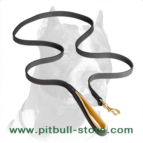 Maximum Comfort Pitbull Dog Leash