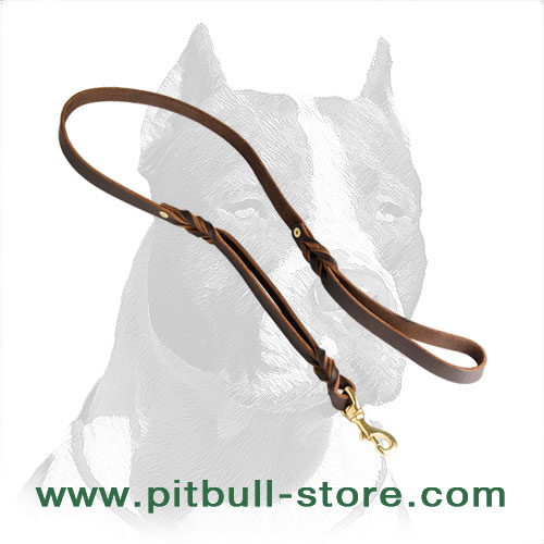 Hand-Braided Pitbull Dog Leash of Full Grain Latigo Leather