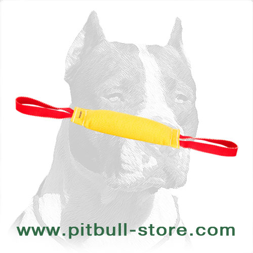 Buy French Linen Dog Bite Tug, Two Handles