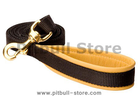 Padded Handle Dog Lead (Leash) for Pitbull