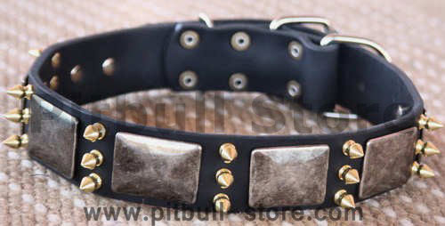 Gorgeous War Dog Leather Dog Collar-massive plates+ brass3 spike