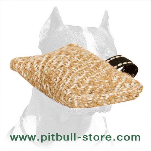 Small-Sized Pitbull Dog Training Bite Tug