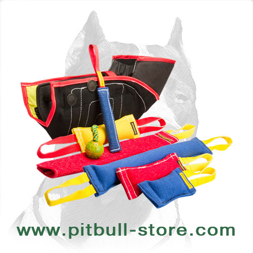 Pitbull training equipment online