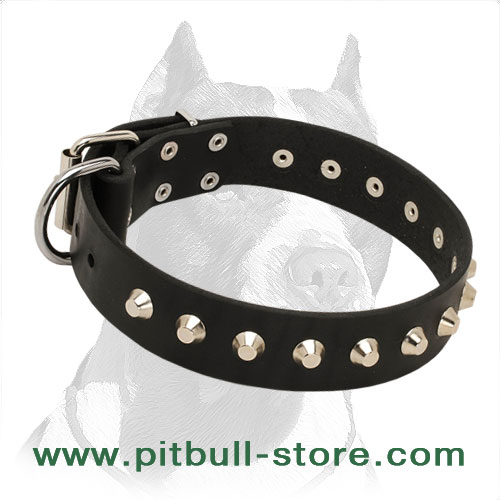 'Mighty King' Pitbull Dog 【Collar】 Pitbull Breed Dog Harnesses
