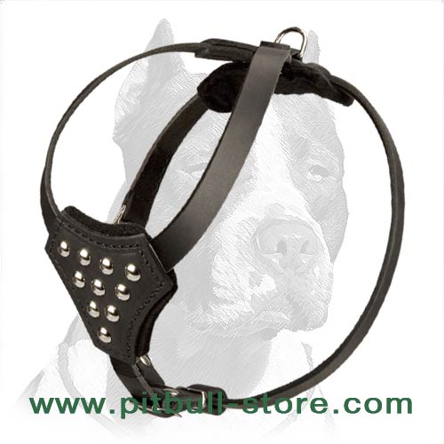 Full Grain Natural Leather Pitbull Puppy Harness - Click Image to Close