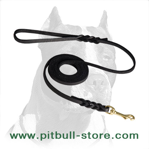 Soft Premium Leather Pitbull Dog Leash with Braided Ends