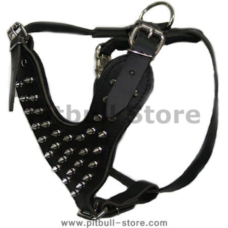 Leather Spiked Dog Harness- Deluxe custom Leather Harness