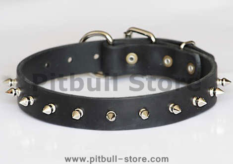 Puppy Spiked Dog Collar- 1 Row of spikes dog collar